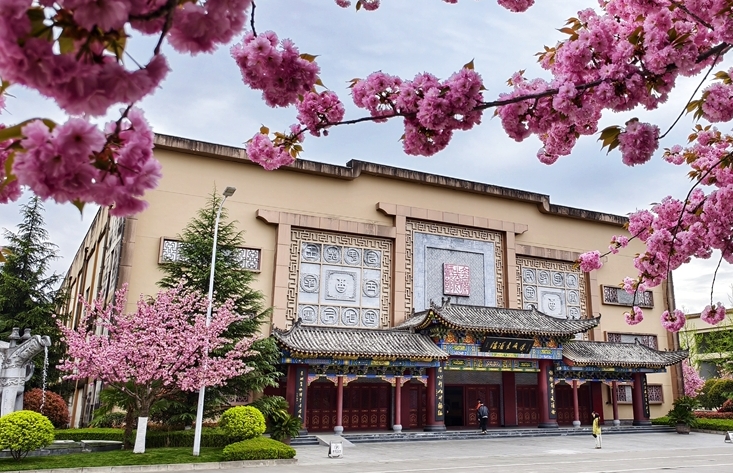 圖集｜“櫻”你而美，共赴金徽春日之約