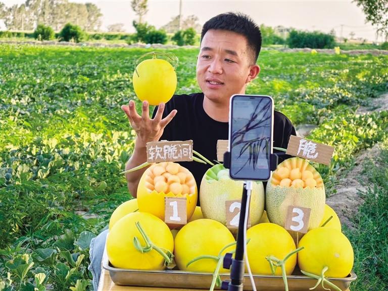 大漠深處，青春如梭梭般扎根